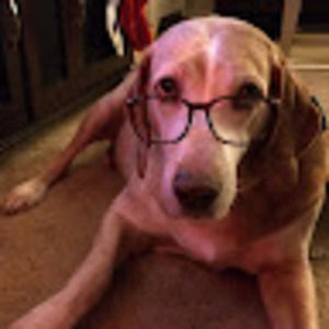 Meet your Posher, Keegan